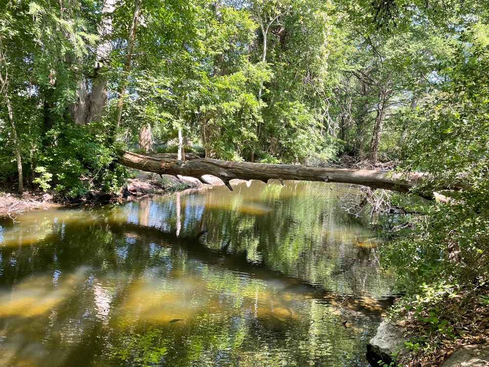 Ordonez Movers - Cibolo Nature FArm