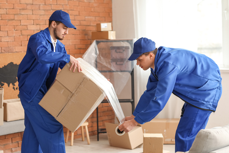 Ordonez Mover Group of Movers Packing Boxes